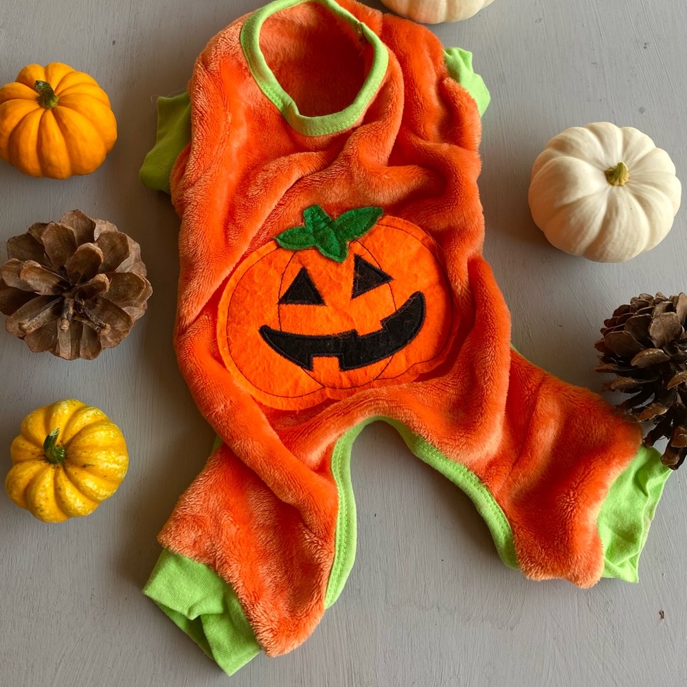 Dog Pumpkin Halloween Costume Small